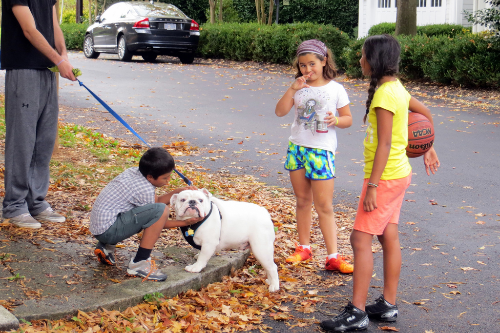 10616810955 3d5ba77a20 b